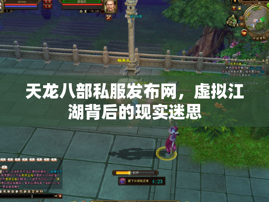 天龙八部私服发布网，虚拟江湖背后的现实迷思