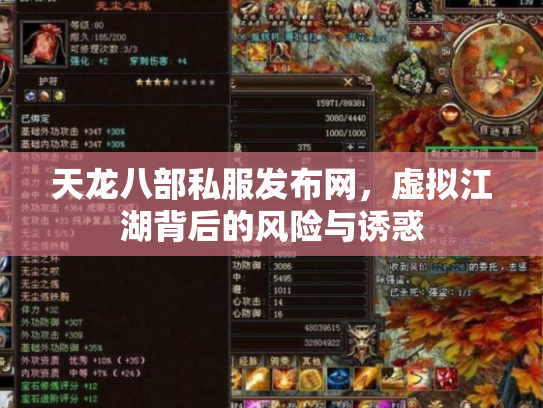 天龙八部私服发布网，虚拟江湖背后的风险与诱惑