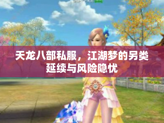 天龙八部私服，江湖梦的另类延续与风险隐忧