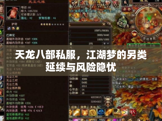 天龙八部私服，江湖梦的另类延续与风险隐忧