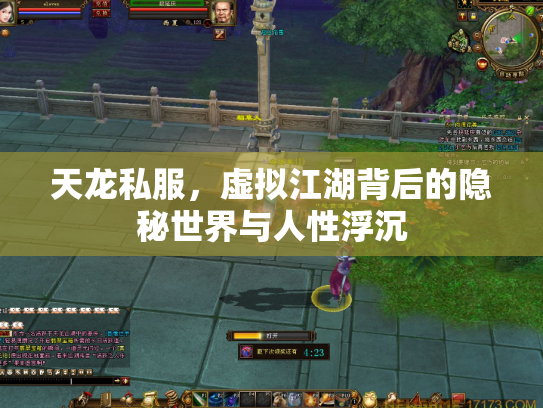 天龙私服，虚拟江湖背后的隐秘世界与人性浮沉