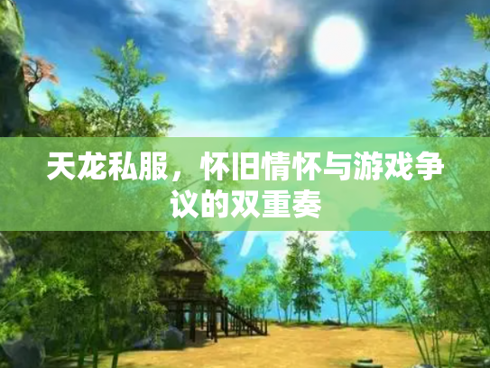 天龙私服，怀旧情怀与游戏争议的双重奏