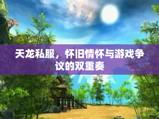 天龙私服，怀旧情怀与游戏争议的双重奏