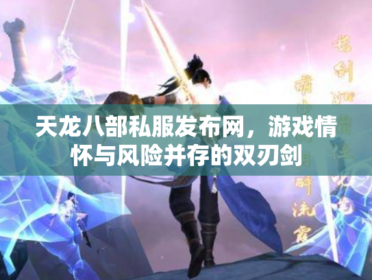 天龙八部私服发布网，游戏情怀与风险并存的双刃剑