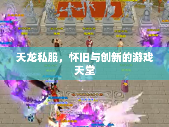 天龙私服，怀旧与创新的游戏天堂