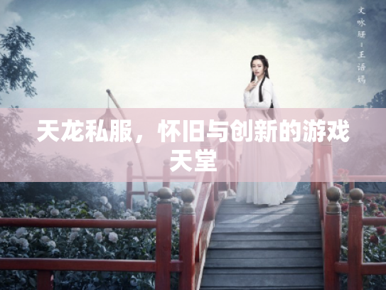 天龙私服，怀旧与创新的游戏天堂