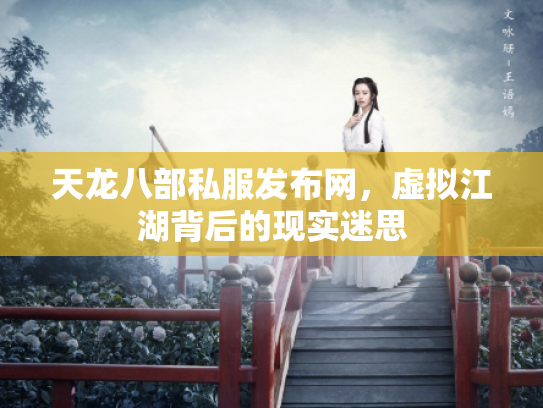 天龙八部私服发布网，虚拟江湖背后的现实迷思