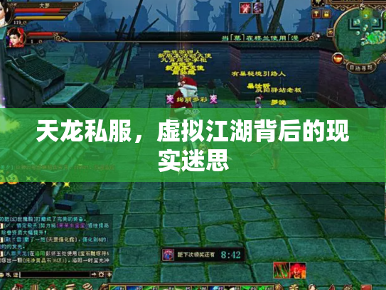 天龙私服，虚拟江湖背后的现实迷思