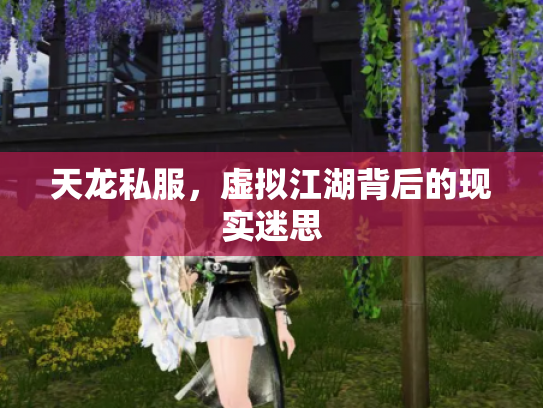 天龙私服，虚拟江湖背后的现实迷思