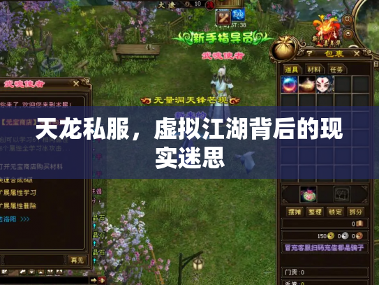 天龙私服，虚拟江湖背后的现实迷思