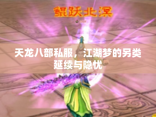 天龙八部私服，江湖梦的另类延续与隐忧