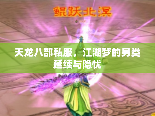 天龙八部私服，江湖梦的另类延续与隐忧
