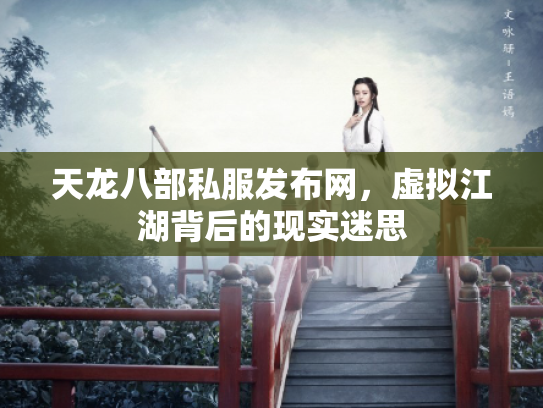 天龙八部私服发布网，虚拟江湖背后的现实迷思