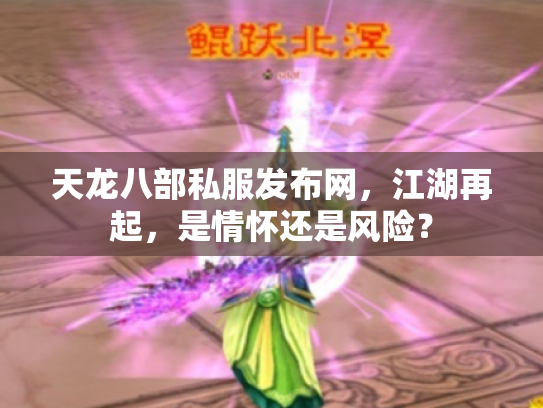 天龙八部私服发布网，江湖再起，是情怀还是风险？