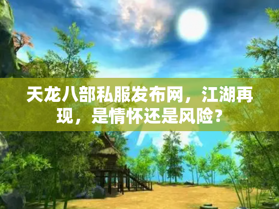 天龙八部私服发布网，江湖再现，是情怀还是风险？