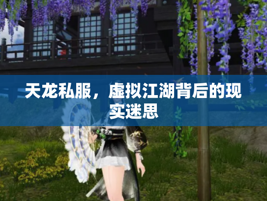 天龙私服，虚拟江湖背后的现实迷思