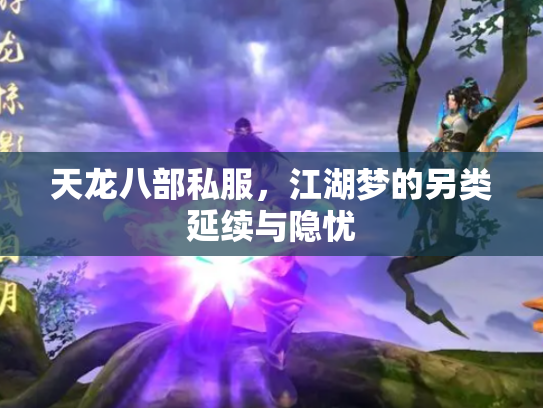 天龙八部私服，江湖梦的另类延续与隐忧