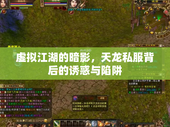 虚拟江湖的暗影，天龙私服背后的诱惑与陷阱