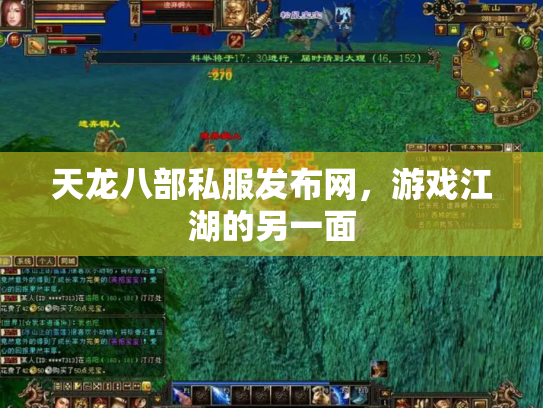 天龙八部私服发布网，游戏江湖的另一面