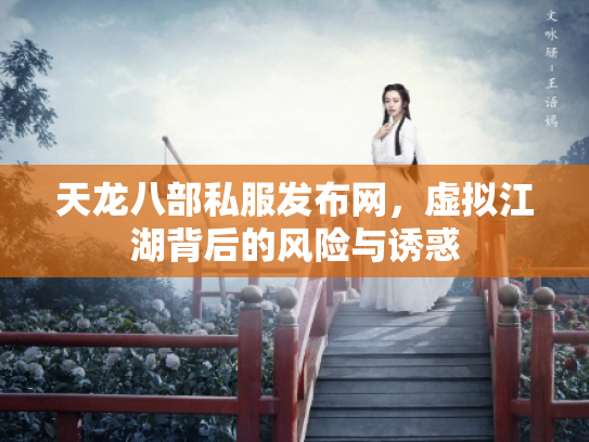 天龙八部私服发布网，虚拟江湖背后的风险与诱惑