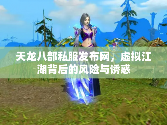 天龙八部私服发布网，虚拟江湖背后的风险与诱惑