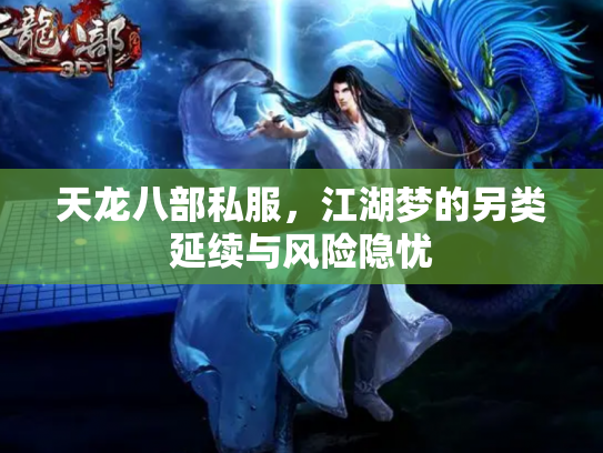 天龙八部私服，江湖梦的另类延续与风险隐忧