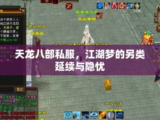 天龙八部私服，江湖梦的另类延续与隐忧