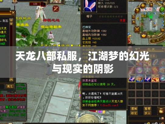 天龙八部私服，江湖梦的幻光与现实的阴影