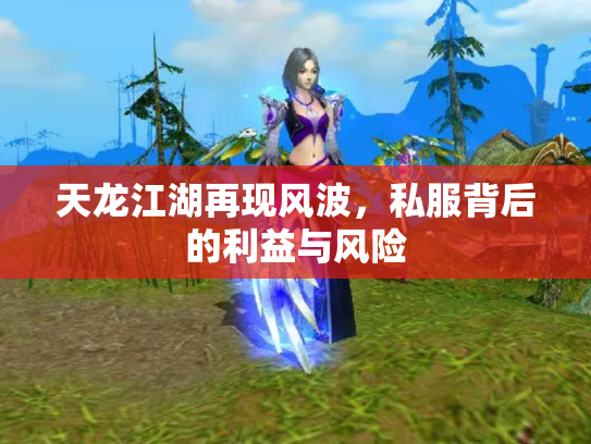 天龙江湖再现风波，私服背后的利益与风险