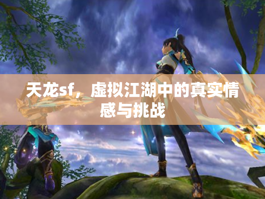 天龙sf，虚拟江湖中的真实情感与挑战