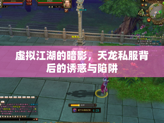 虚拟江湖的暗影，天龙私服背后的诱惑与陷阱