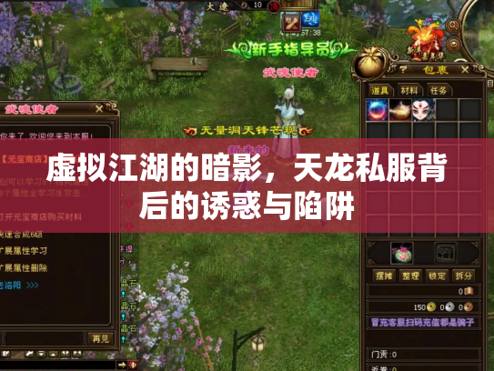 虚拟江湖的暗影，天龙私服背后的诱惑与陷阱