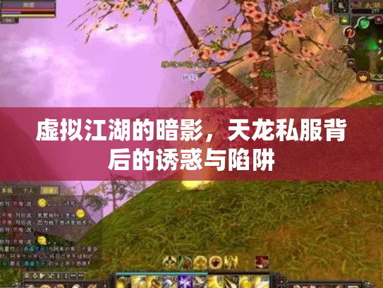 虚拟江湖的暗影，天龙私服背后的诱惑与陷阱