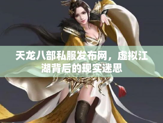 天龙八部私服发布网，虚拟江湖背后的现实迷思