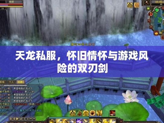 天龙私服，怀旧情怀与游戏风险的双刃剑