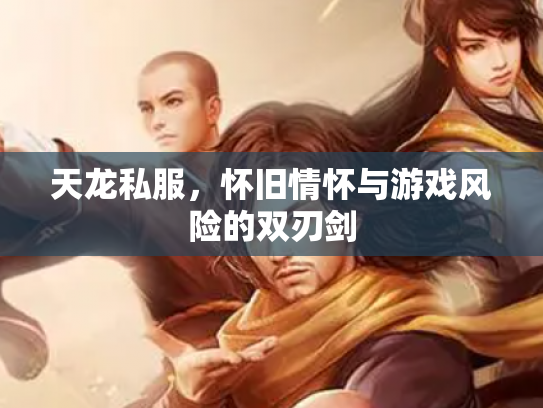 天龙私服，怀旧情怀与游戏风险的双刃剑