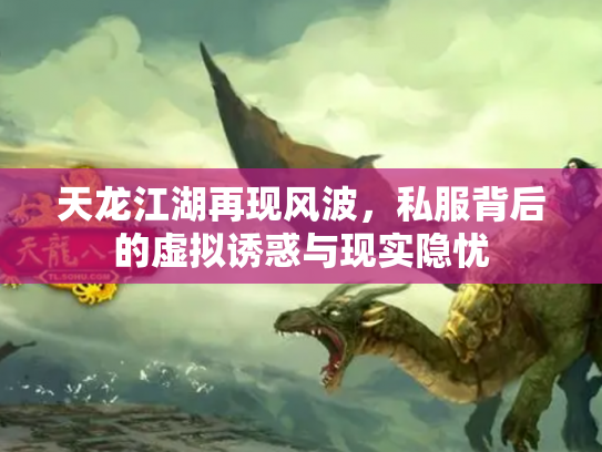 天龙江湖再现风波，私服背后的虚拟诱惑与现实隐忧