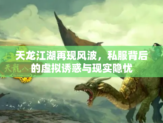 天龙江湖再现风波，私服背后的虚拟诱惑与现实隐忧