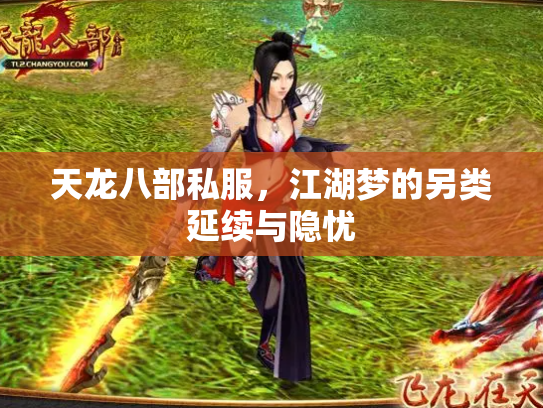 天龙八部私服，江湖梦的另类延续与隐忧
