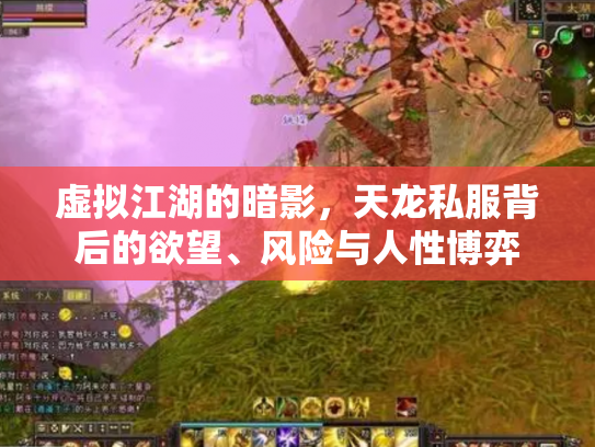 虚拟江湖的暗影，天龙私服背后的欲望、风险与人性博弈