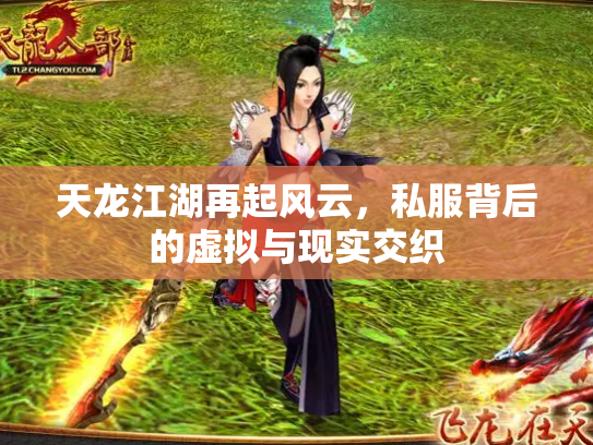 天龙江湖再起风云，私服背后的虚拟与现实交织