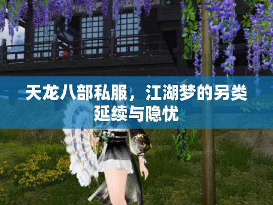 天龙八部私服，江湖梦的另类延续与隐忧