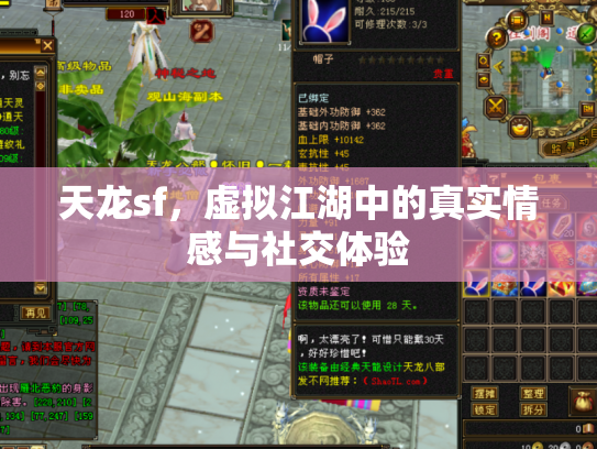 天龙sf，虚拟江湖中的真实情感与社交体验