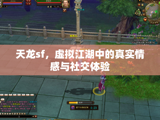 天龙sf，虚拟江湖中的真实情感与社交体验