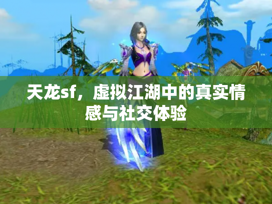 天龙sf，虚拟江湖中的真实情感与社交体验