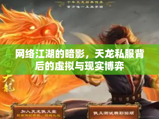 网络江湖的暗影，天龙私服背后的虚拟与现实博弈