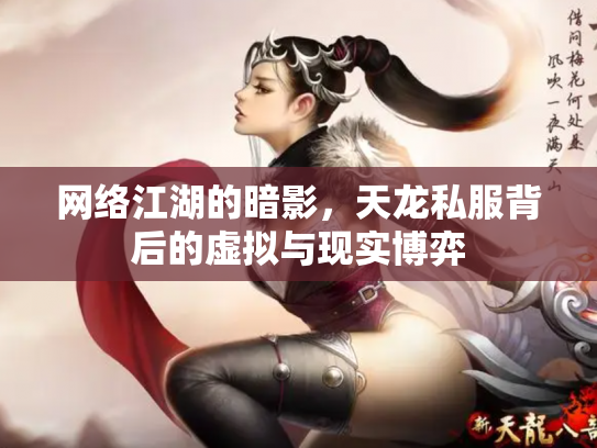 网络江湖的暗影，天龙私服背后的虚拟与现实博弈