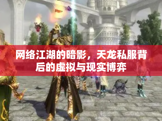网络江湖的暗影，天龙私服背后的虚拟与现实博弈