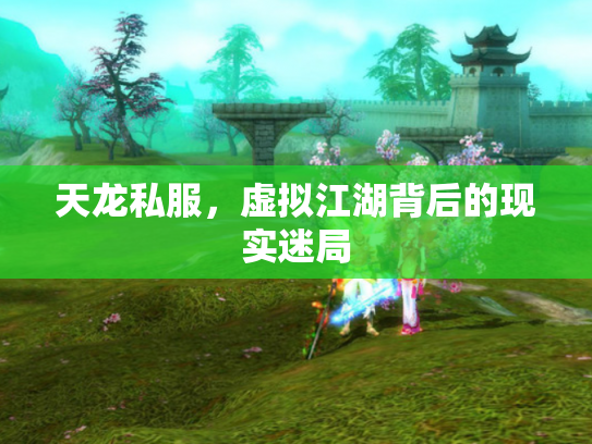 天龙私服，虚拟江湖背后的现实迷局