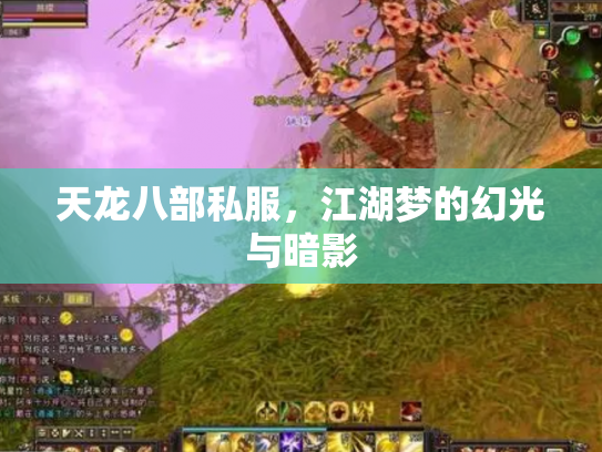 天龙八部私服，江湖梦的幻光与暗影
